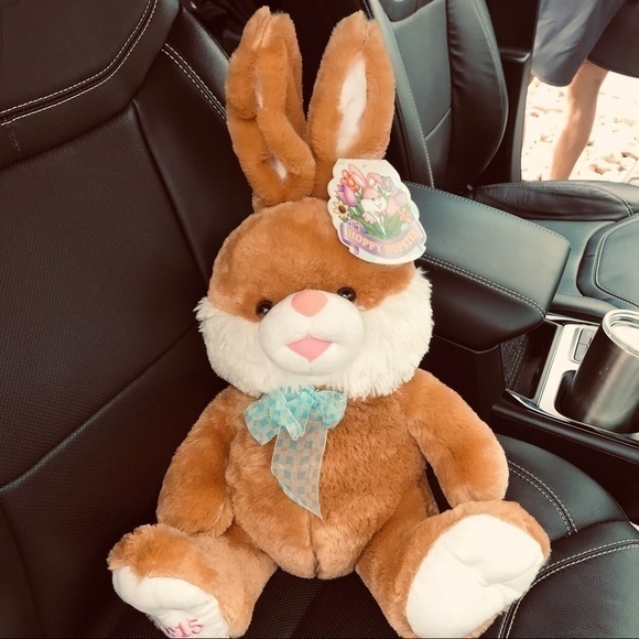 Hoppy Hopster Dan Dee 2015 Brown Plush Easter Rabbit 24”‎ Brown Rare W/Tags - Picture 12 of 12